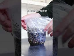 How to make Germinated Seed for Pet Birds