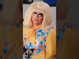 💦 DEER AT THE HOLLYWOOD RESERVOIR #trixie #mattel #katya #katyazamolodchikova #netflix #shorts