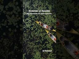 Sweden’s west coast with kids – Discover family fun in Halland