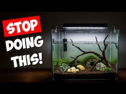 The Truth About Water Changes For Shrimp Tanks!