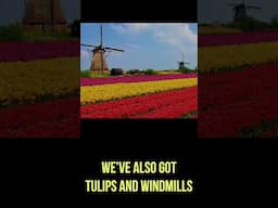 The Netherlands to Donald Trump: "Dankjewel" (THANKS!)  #holland #netherlands