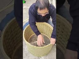 Bamboo Crafts - Bamboo Craft Making 2025 #bamboo #bamboocraft #bamboocrafts #craft #bamboohandcraft