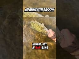 I Caught a MeanMouth Bass!!! 😲 #creekfishing #bassfishing #shorts