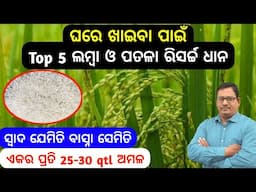 Super fine Paddy ଘରେ ଖାଇବା ପାଇଁ ଲମ୍ବା ଓ ପତଳା ଧାନ Top 5 ରିସର୍ଚ୍ଚ ଧାନ 25-30 qtl ଅମଳ
