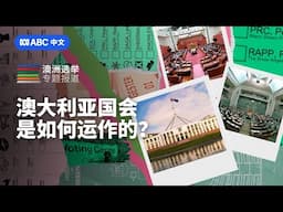 大选ABC：澳洲国会如何运作？参众两院都管什么？丨ABC中文