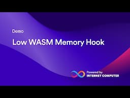 Low WASM Memory Hook | Demo
