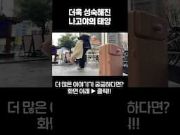 제발 이뤄지게 해주세요!! #shorts #유짱 #박진우