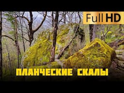 Планческие скалы в Краснодарском крае