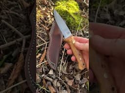Last chance for a Limited Masur Woodlander