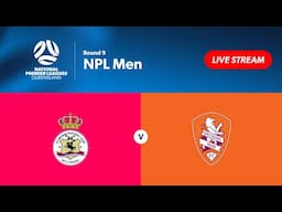 NPL Men Round 9 - St George Willawong vs. Brisbane Roar