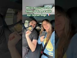 Travel to the South of France with us & our rescue dogs 🐶🌱 #vegan #rescuedog #vegantravel