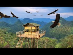 Leaving the city, the guy Build a Dreamy Bamboo House on the Treetops / King Of Satyr