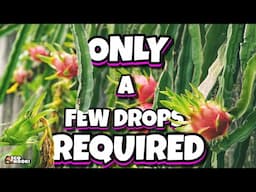 10 Profitable Crops That Need Very Little Water