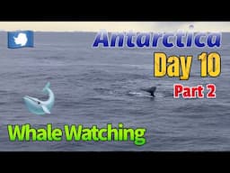 Humpback Whale Watching | Antarctica 2025 Expedition Day: 10