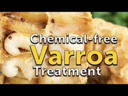 Finally! A Chemical Free Varroa Treatment: LifeHive Heat Treatment