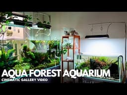 Aqua Forest Aquarium Gallery 2025 - 4K Cinematic