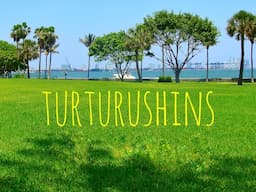 TurTurushins Live Stream