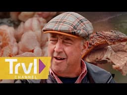 Moose Nose & Beaver Tail in the Yukon | Bizarre Foods With Andrew Zimmern | Travel Channel
