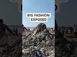 Big Fashion: Exposed