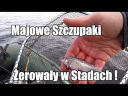 Każdy Szczupak miał to w gardle ! | Brały Jeden za Drugim !