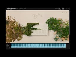 Kontakt 8 Player Grab it for Free | Komplete Start Free Bundle @NativeInstruments