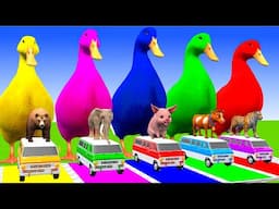 5 Giant Duck Cartoon,Cow,Elephant,Tiger,Lion,Gorilla, Paint Wild Animals Crossing Fountain Animation