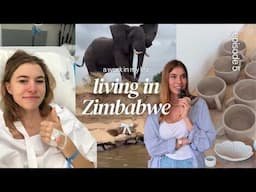 Vlog: Life in Zimbabwe, Africa as a ceramic artist and interior designer