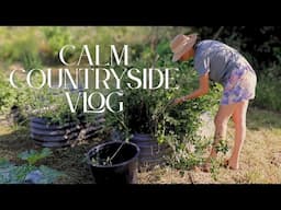 Preparing our Homestead for Summer Whilst 4 Months Pregnant