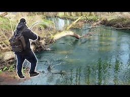 I Can't Believe This Hidden Stream Had Fish THIS BIG!