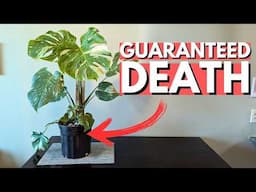 People keep doing this to their houseplants