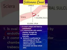 What is Schlemms Canal? #biology #education #ophthalmology