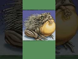 Chub Toad Song | Music the Gathering #mtg #mtgcommunity