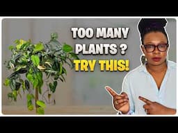 Too Many Trailing Plants, Not Enough Space? Here’s the Fix!
