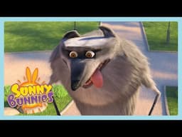 The Wolf | Sunny Bunnies | Wildbrain Wonder
