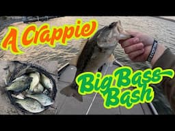 Big Bass Bash Day 1 and 2 | Lower End Report | Lake of the Ozarks