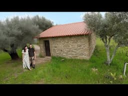 Renovating Our Little Stone House in the Country Off Grid