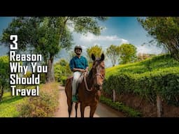 3 Reason Why You Should Travel
