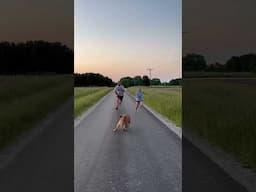 Dog Knocks Girl Over During Race With Dad