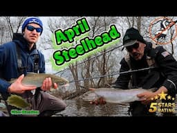 April Steelhead 2025 - It's not over yet