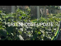 Greenhouse Update (21 April 2025)