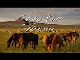 April BUYOUT 2025 | Debrief with Dr. Gina, Dr. Lydia, and Nicole