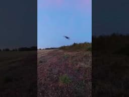 Turkey Flies off the Roost! 360 Degree Camera!