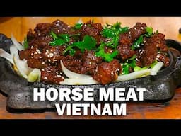 Dishes Few Dare to Try 🇻🇳 HORSE MEAT & Northern Vietnam Delicacies