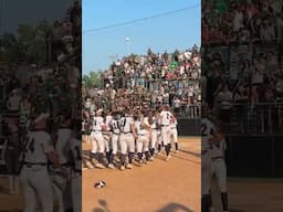 Grass Lake celebrates their victory in the D3 softball state championship