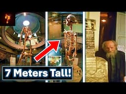 Ancient Giant Found & Displayed In Switzerland?
