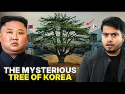 The Mysterious Tree Of Korea