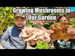 Growing Mushrooms for Birria and Endless Forest Cleanup