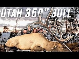 8 Bull K*lls in 3 States! Western Archery Elk Hunting