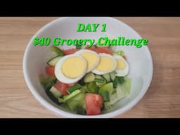 Day 1- $40 Grocery Budget Challenge for 2