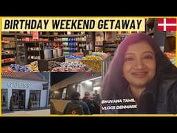 Busy Birthday Weekend Shopping of an Indian Working Mom in Denmark | Bhuvana Tamil Vlogs Denmark